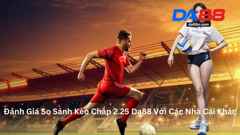 Cược Thẻ Phạt Bóng Đá - Hiểu Đúng Chơi Chuẩn Cùng Da88 4 Cược Thẻ Phạt Bóng Đá