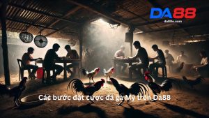 Đá Gà Mỹ
