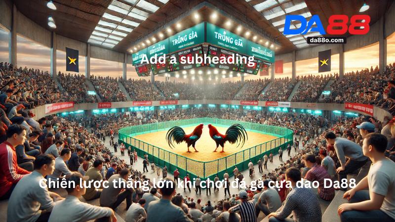 Đá Gà Cựa Dao Da88 - Trải Nghiệm Cá Cược Tại Sảnh Live HD 4 Đá Gà Cựa Dao